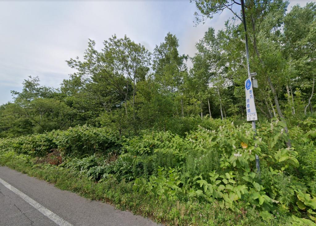 ☆ニセコ町　売土地☆