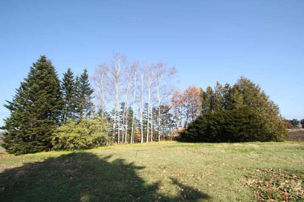 【防風林のある広大な売土地】新得町字屈足西１線 内観