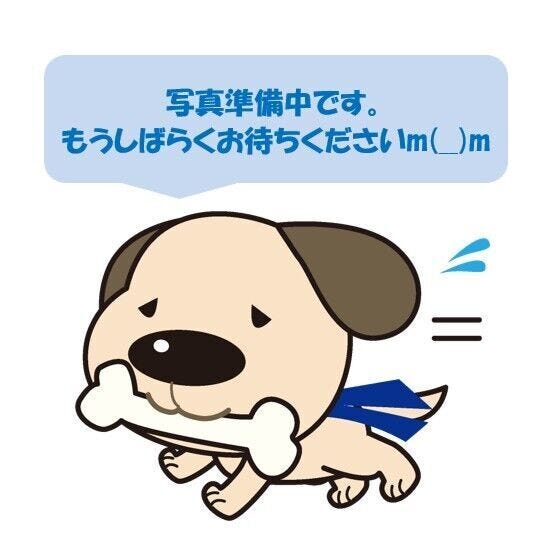 大樹町鏡町　売土地